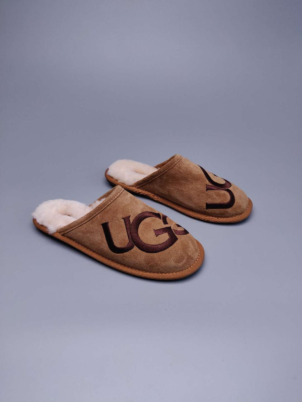 Chestnut G Indoor Slippers | Model 2593