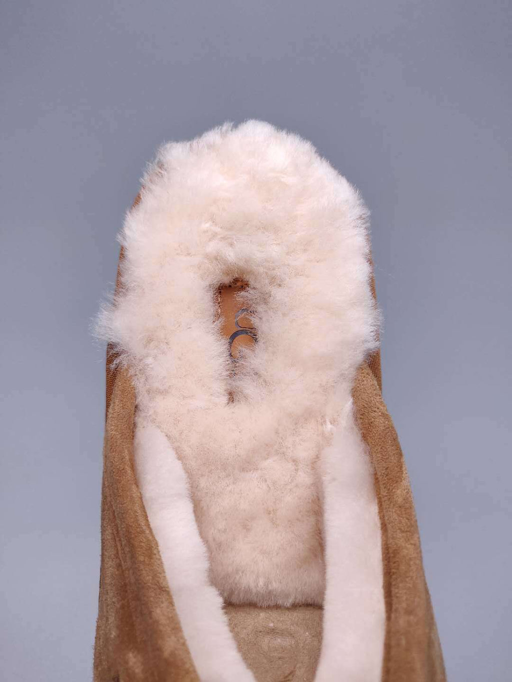 Chestnut G Indoor Slippers | Model 2593