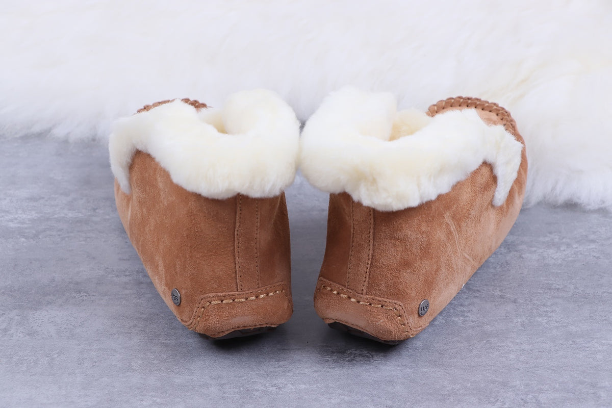 Chestnut W Alena Shoes | Model 4806